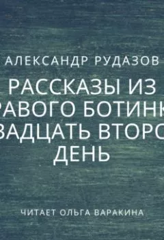 Аудиокнига - Двадцать второй день. Александр Рудазов - слушать в Litvek