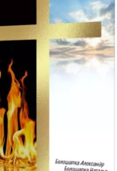 Аудиокнига - Путь домой. Александр Белошапка - слушать в Litvek