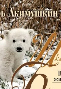 Обложка книги - В мире животных - Игорь Акимушкин
