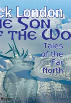 Аудиокнига - The Son of the Wolf: Tales of the Far North. Джек Лондон - слушать в Litvek
