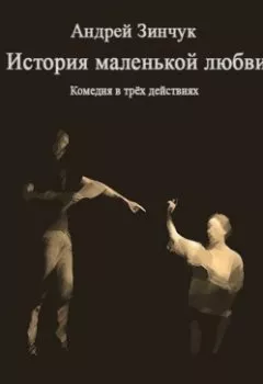 Обложка книги - История маленькой любви - Андрей Зинчук