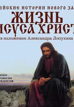 Обложка книги - Библейские истории Нового Завета: Жизнь Иисуса Христа - А. П. Лопухин