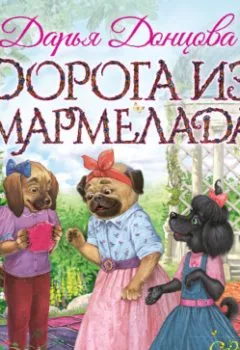 Обложка книги - Дорога из мармелада - Дарья Донцова
