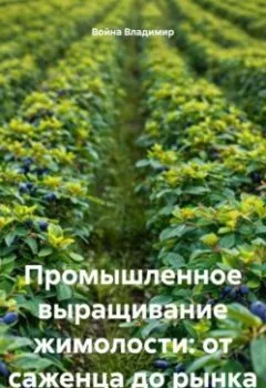 Обложка книги - Промышленное выращивание жимолости: от саженца до рынка - Война Владимирович Владимир
