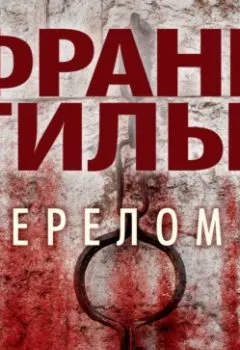 Аудиокнига - Переломы. Франк Тилье - слушать в Litvek