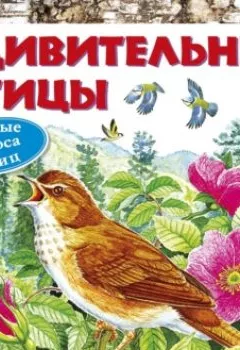 Книга - Удивительные птицы. А. А. Тихонов - прослушать в Litvek
