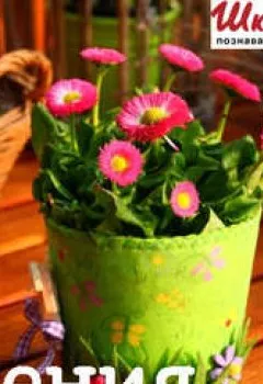 Аудиокнига - Как снизить уровень сахара в крови? Лечим сахарный диабет средствами народной медицины. Владимир Рогоза - слушать в Litvek