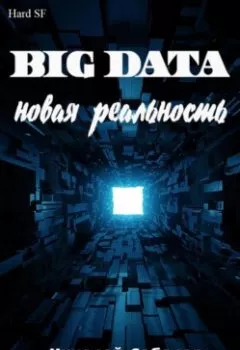 Книга - Big Data. Новая реальность. Николай Лебедев - прослушать в Litvek