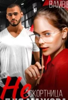 Аудиокнига - (Не) эскортница для мажора. Bambie - слушать в Litvek