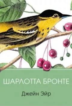 Книга - Джейн Эйр. Шарлотта Бронте - прослушать в Litvek