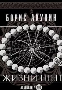 Обложка книги - Из жизни щепок - Борис Акунин