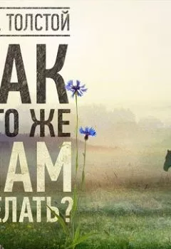 Аудиокнига - Так что же нам делать?. Лев Толстой - слушать в Litvek