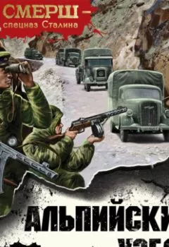 Аудиокнига - Альпийский узел. Александр Тамоников - слушать в Litvek