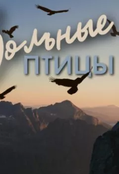 Аудиокнига - Вольные птицы. Наталья Брониславовна Медведская - слушать в Litvek