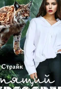 Обложка книги - Спящий красавец - Кира Страйк