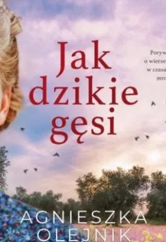Аудиокнига - Jak dzikie gęsi. Agnieszka Olejnik - слушать в Litvek