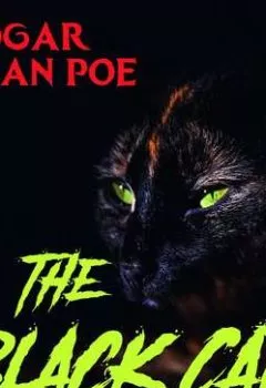 Аудиокнига - The Black Cat. Эдгар Аллан По - слушать в Litvek