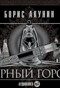 Обложка книги - Черный город - Борис Акунин