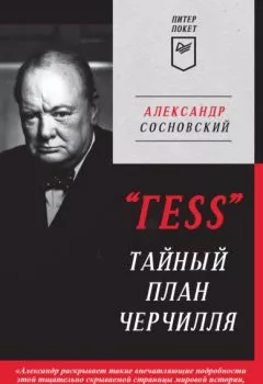Обложка книги - «ГESS». Тайный план Черчилля - Александр Сосновский
