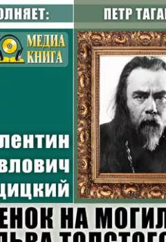 Обложка книги - Венок на могилу Льва Толстого - Протоиерей Валентин Свенцицкий