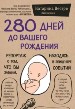 Аудиокнига - 280 дней до вашего рождения. Репортаж о том, что вы забыли, находясь в эпицентре событий. Катарина Вестре - слушать в Litvek