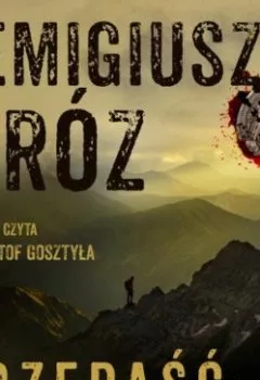 Обложка книги - Przepaść - Remigiusz Mróz
