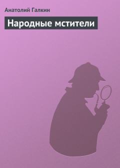 Книга - Народные мстители. Анатолий Михайлович Галкин - читать в Litvek