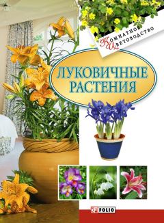 Обложка книги - Луковичные растения - Татьяна Николаевна Дорошенко