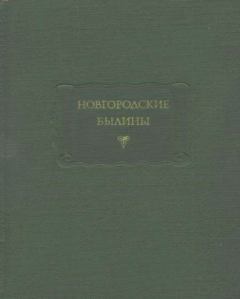 Книга - Новгородские былины. Автор Неизвестен - читать в Litvek