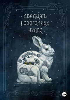 Книга - Двадцать новогодних чудес. Мария Васильева - читать в Litvek