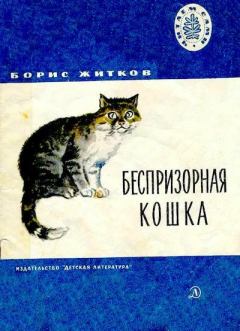 Книга - Беспризорная кошка. Борис Степанович Житков - читать в Litvek