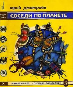 Обложка книги - Соседи по планете Насекомые - Юрий Дмитриевич Дмитриев