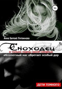 Книга - Сноходец. Анна и Сергей Литвиновы - читать в Litvek