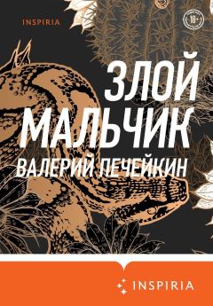 Книга - Злой мальчик. Валерий Печейкин - прочитать в Litvek