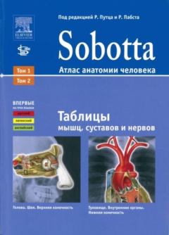 Обложка книги - Sobotta. Атлас анатомии человека - таблицы мышц, суставов и нервов -  Коллектив авторов