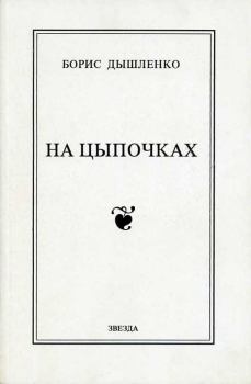 Книга - На цыпочках. Борис Иванович Дышленко - читать в Litvek