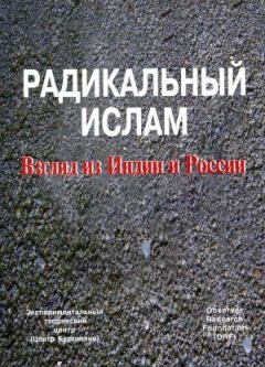 Обложка книги - Радикальный ислам. Взгляд из Индии и России - Сергей Ервандович Кургинян