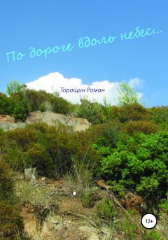 Книга - По дороге вдоль небес. Роман Владимирович Торощин - читать в Litvek