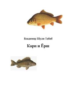 Книга - Карп и Ёрш. Владимир Шуля-Tабиб - прочитать в Litvek