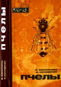 Книга - Пчелы: Повесть о биологии пчелиной семьи и победах науки о пчелах. Иосиф Аронович Халифман - прочитать в Litvek