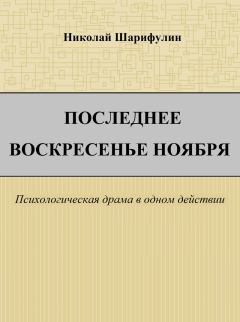 Книга - Последнее воскресенье ноября. Николай Григорьевич Шарифулин - прочитать в Litvek