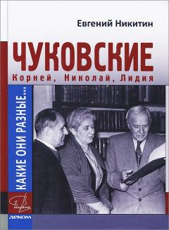 Книга - Какие они разные… Корней, Николай, Лидия Чуковские. Евгений Николаевич Никитин - читать в Litvek