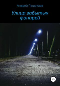 Книга - Улица забытых фонарей. Андрей Анатольевич Пошатаев - прочитать в Litvek