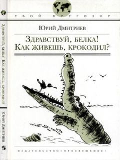 Книга - Здравствуй, белка! Как живешь, крокодил?. Юрий Дмитриевич Дмитриев - читать в Litvek