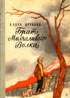 Книга - Брат Молчаливого Волка. Клара Ярункова - прочитать в Litvek