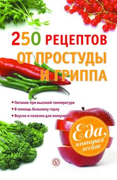 Обложка книги - 250 рецептов от простуды и гриппа - Виктор Федорович Ильин