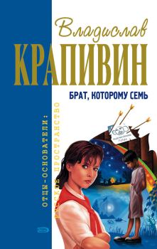 Книга - Брат, которому семь. Владислав Петрович Крапивин - прочитать в Litvek