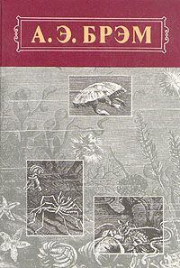 Обложка книги - Жизнь животных, Том III, Пресмыкающиеся. Земноводные. Рыбы - Альфред Эдмунд Брэм