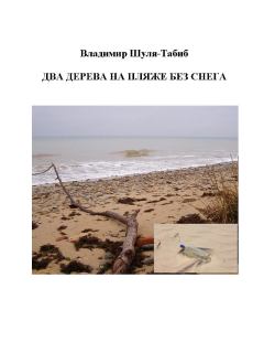 Обложка книги - Два дерева на пляже без снега - Владимир Шуля-Tабиб