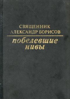 Книга - Побелевшие нивы. Александр Борисов - читать в Litvek